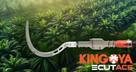 ECUT ACE Performance Report on Academia.edu